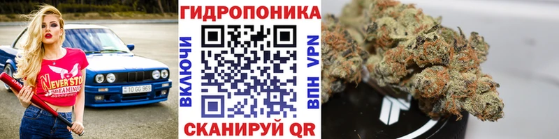 МАРИХУАНА SATIVA & INDICA darknet формула Коряжма